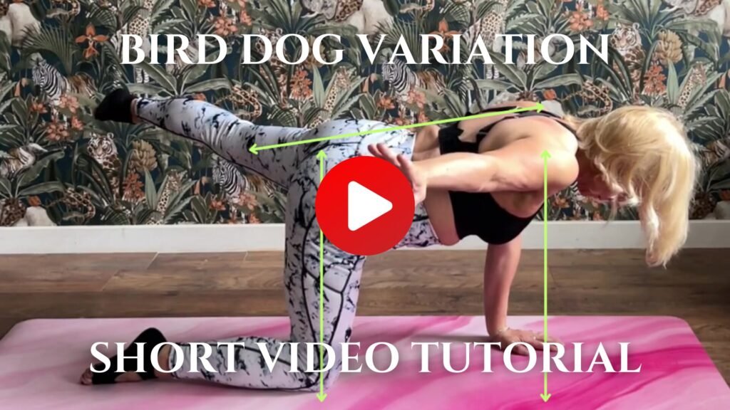 Bird Dog Exercise variation